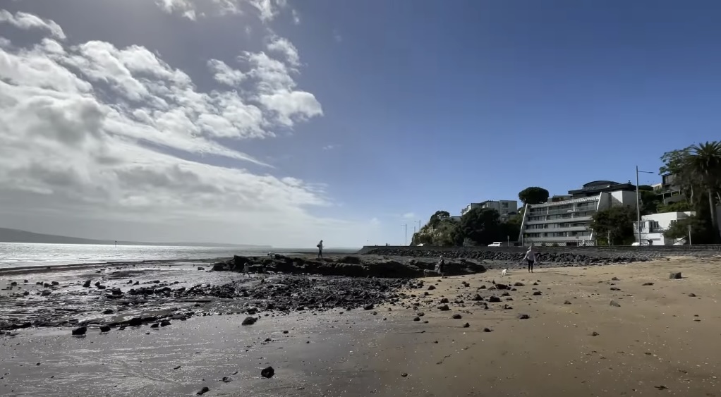 The Guide to Auckland’s Top Beaches for Swimming and Fun